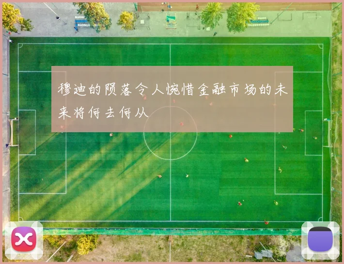 穆迪的陨落令人惋惜金融市场的未来将何去何从