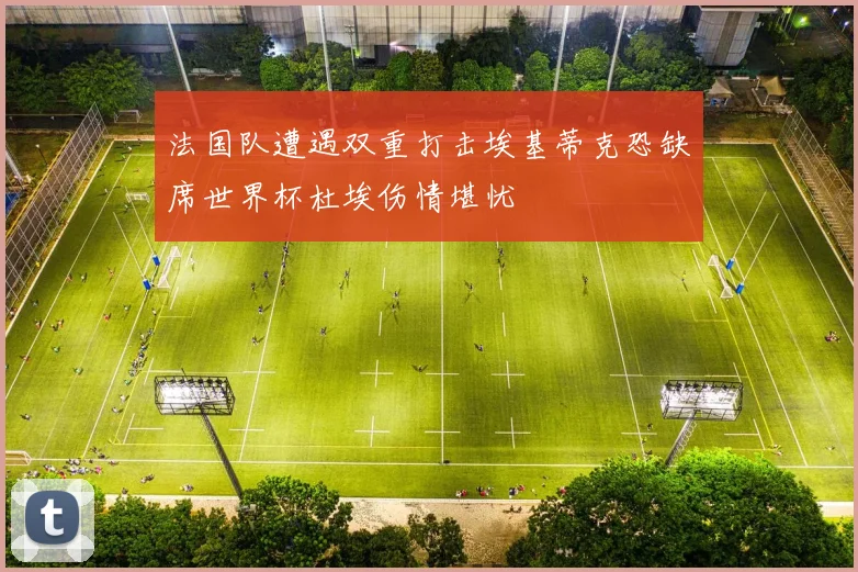 法国队遭遇双重打击埃基蒂克恐缺席世界杯杜埃伤情堪忧